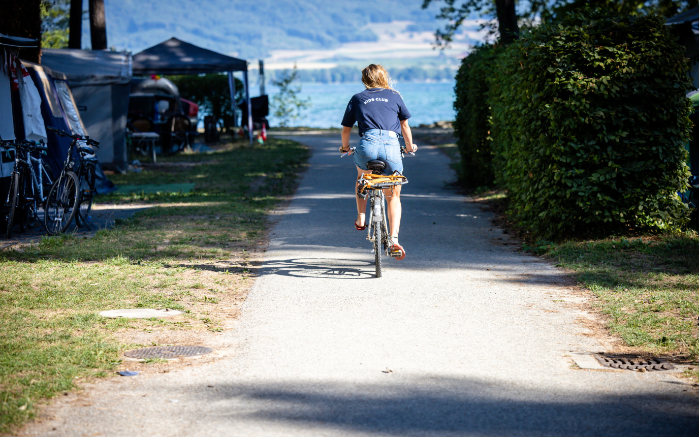 Camping VD8 – Bild