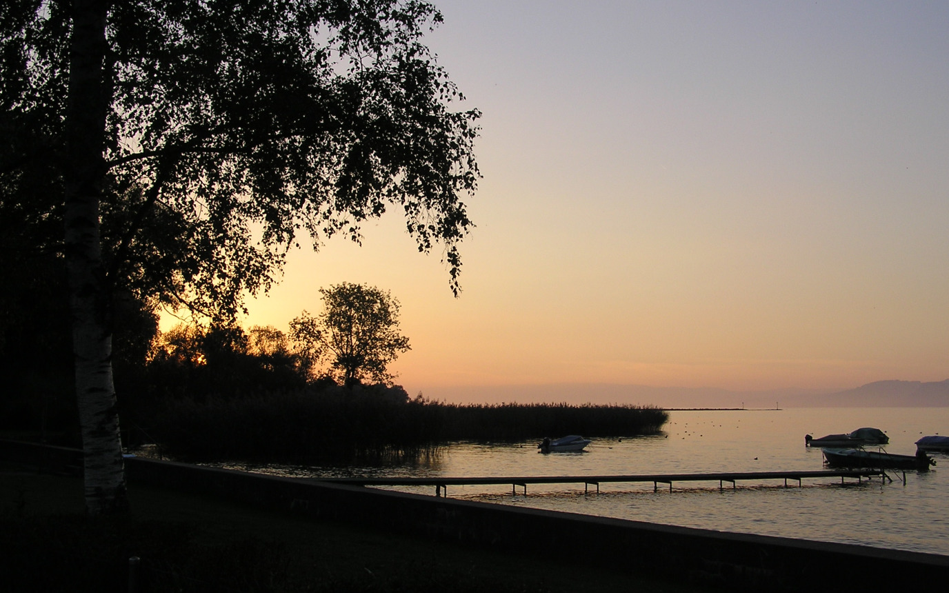 Les Grangettes – Bild