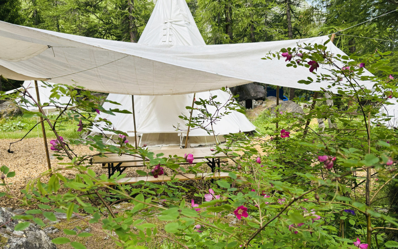 Forêt des Mélèzes – image