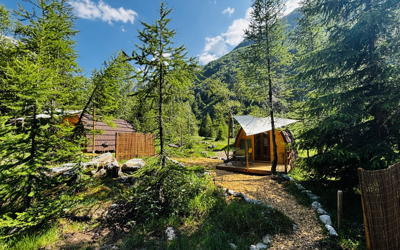 Forêt des Mélèzes – image