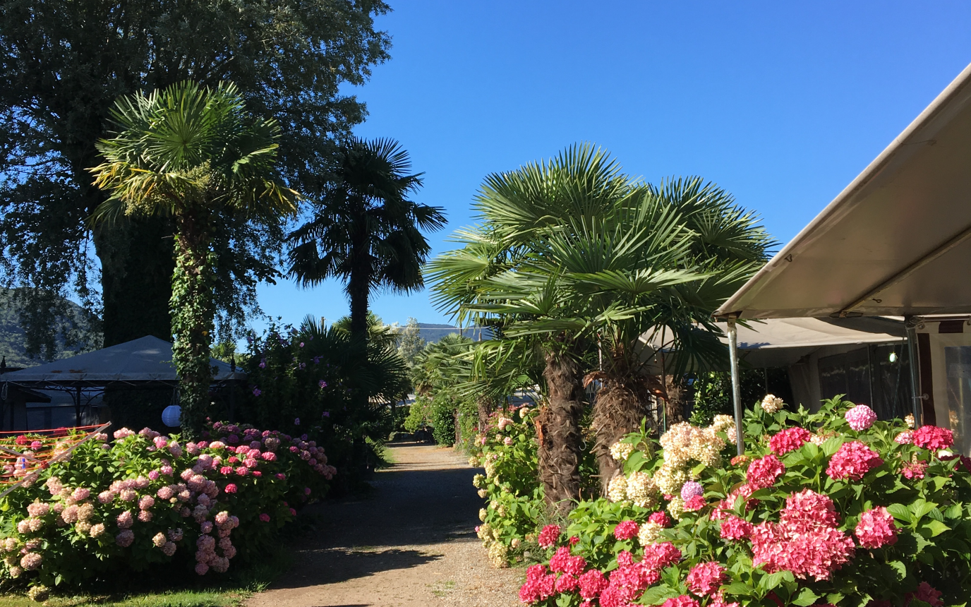 Camping Lugano Lake – Bild