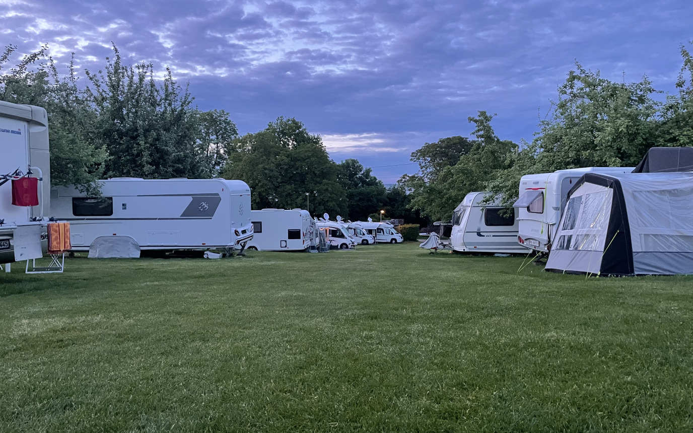 Ruderbaum – immagine