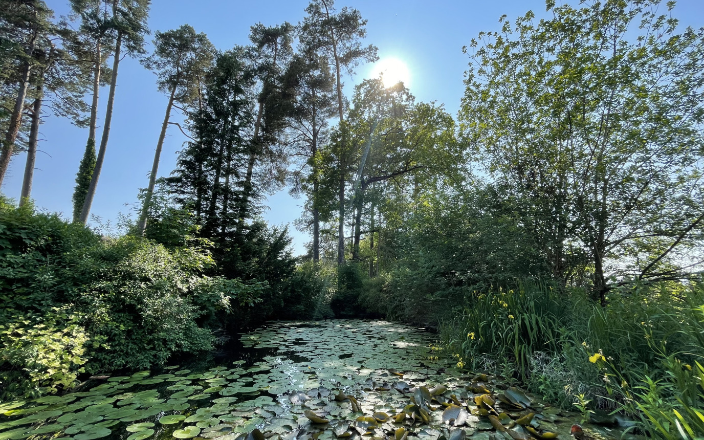 Seiler Camping Wildberg AG – Bild