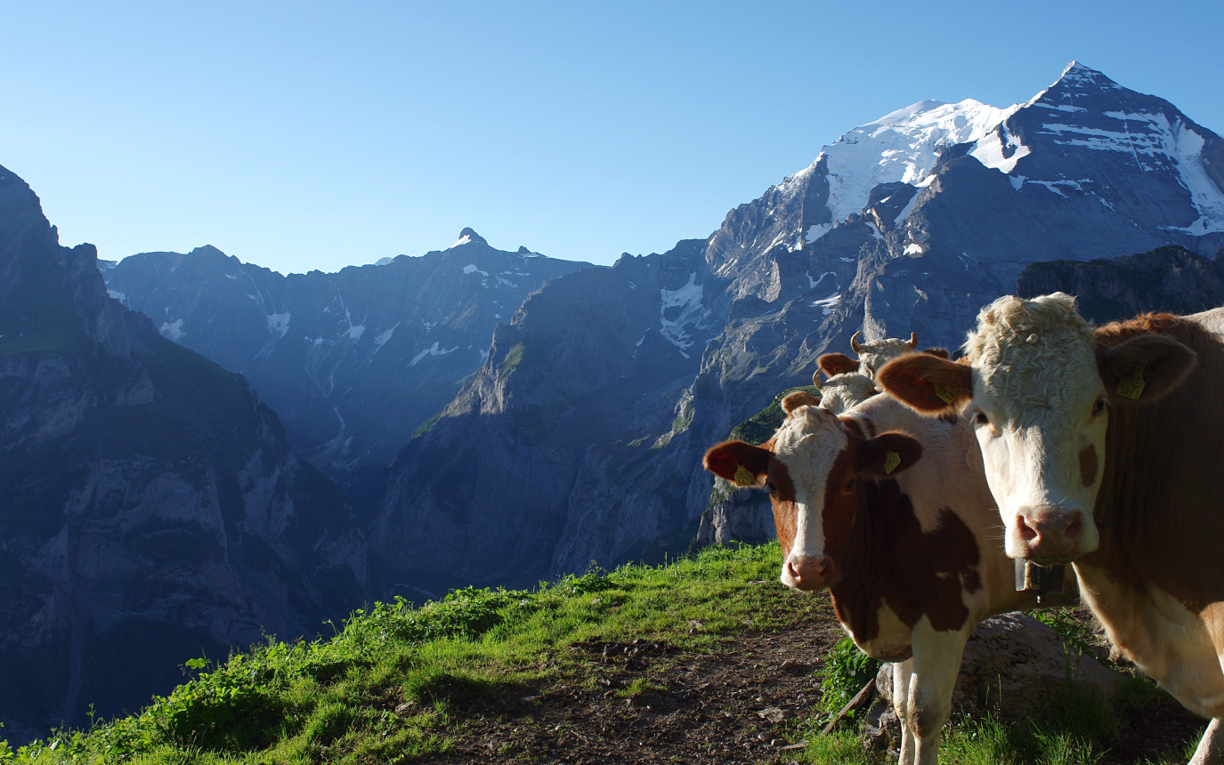 Camping Grassi – Bild