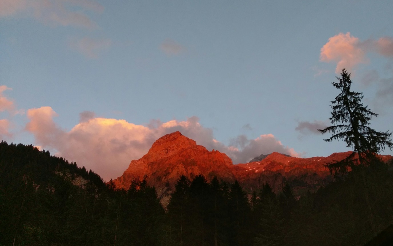 Hasenweide – image