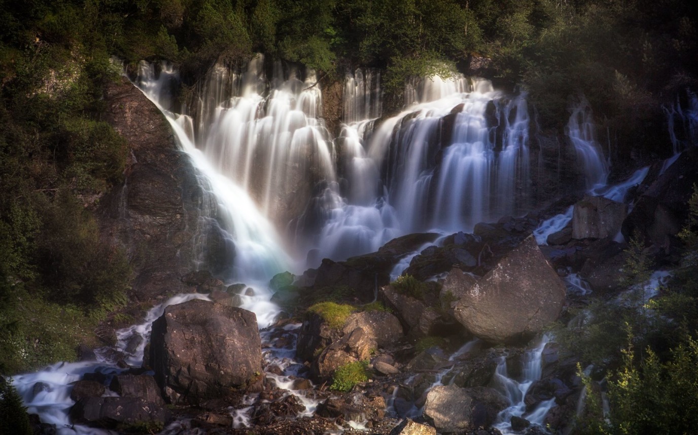 Hasenweide – image