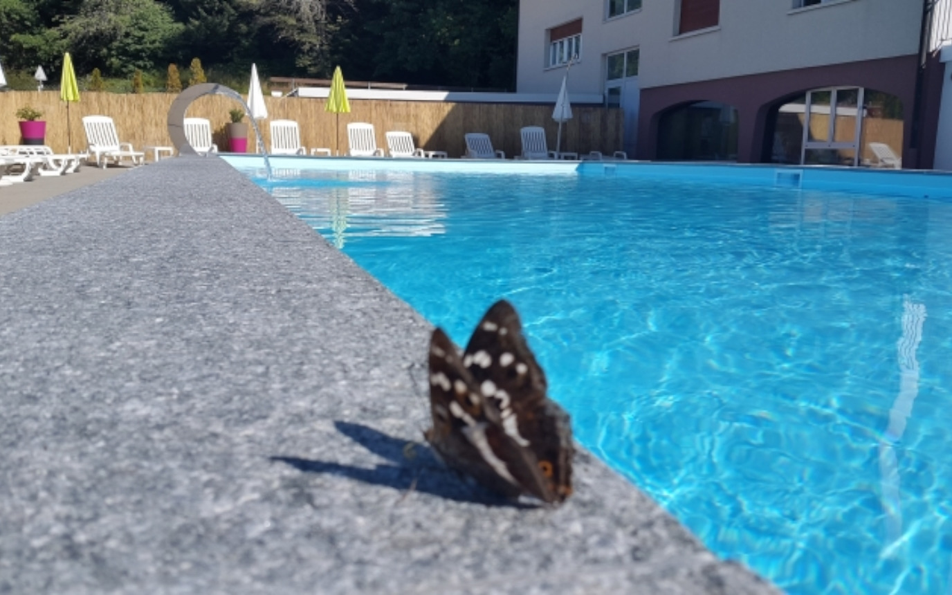 Camping de la Forêt SA – Bild